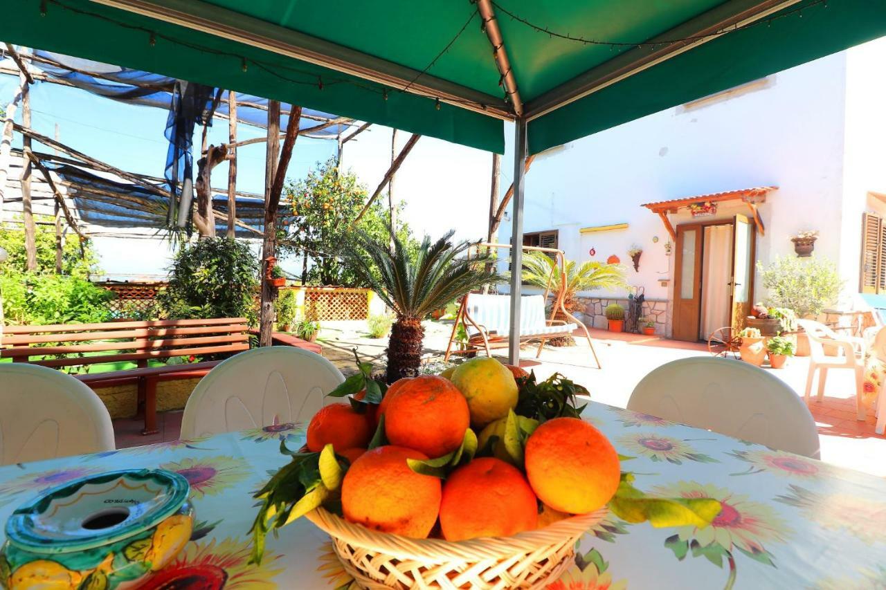 بيانو دي سورينتو La Maison De Titty & Margherita المظهر الخارجي الصورة